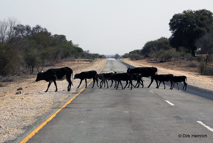 Namibia Kommunalgebiete