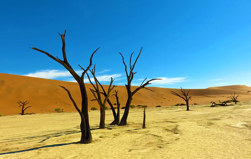 Deadvlei Namibia
