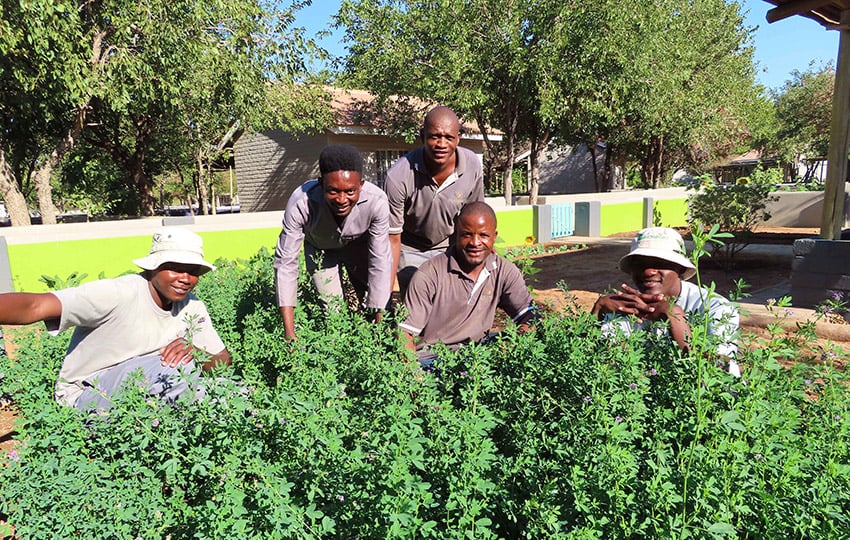 Damara Mopane Lodge Gärtner