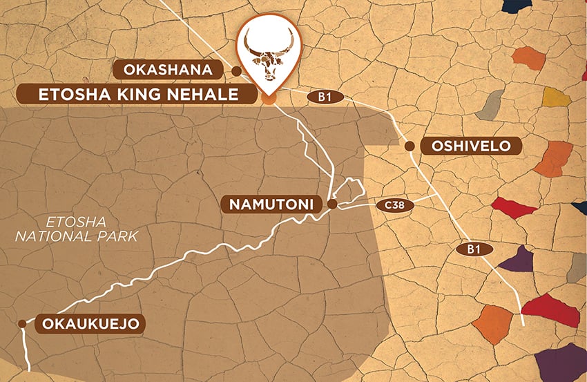 etosha king nehale location