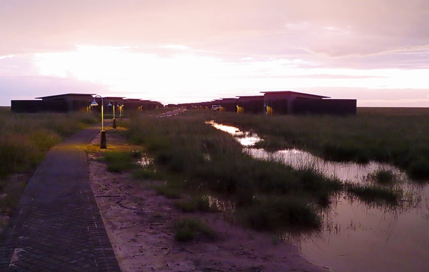 Etosha King Nehale