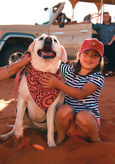 Hunde-Bandana