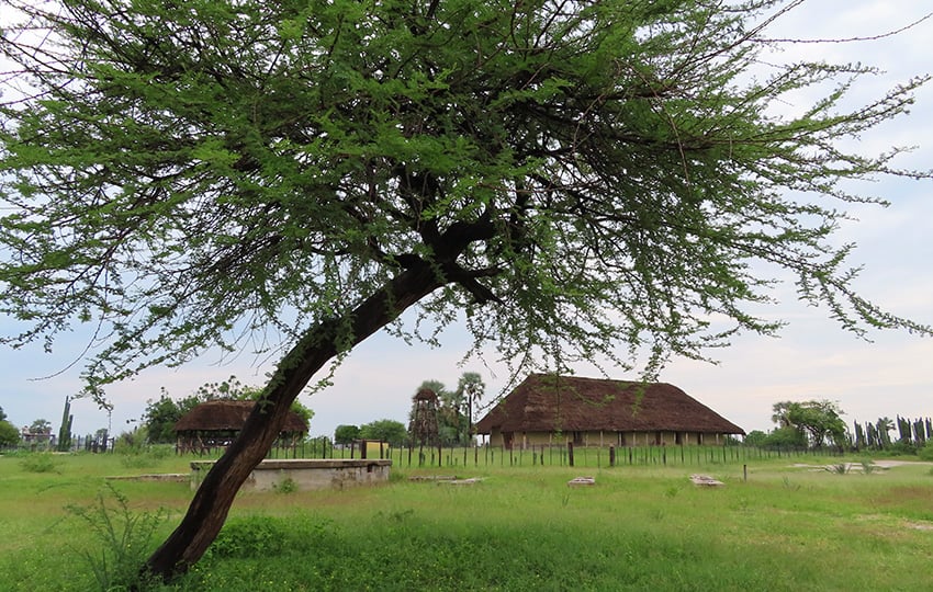 Nakambale, Namibia