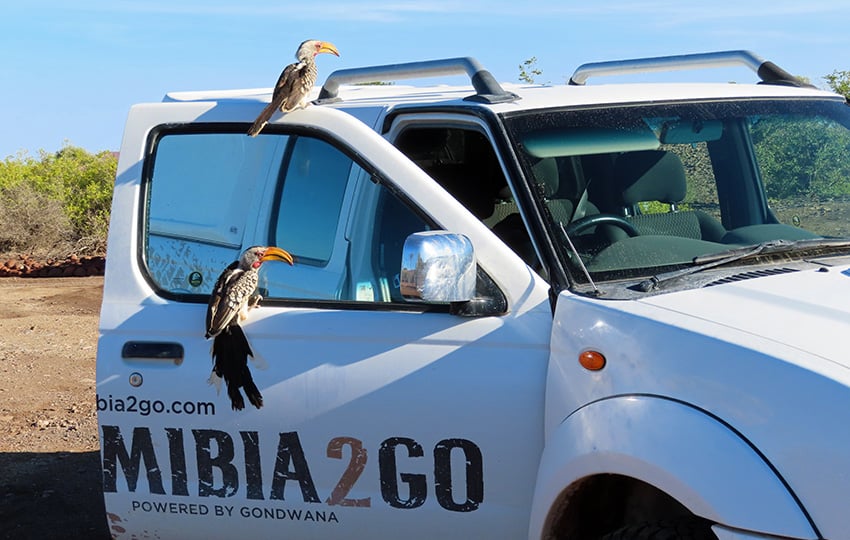 Namibia2Go Autovermietung