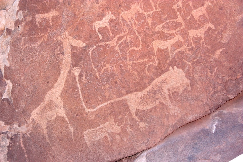 Twyfelfontein Felsgravur Löwe