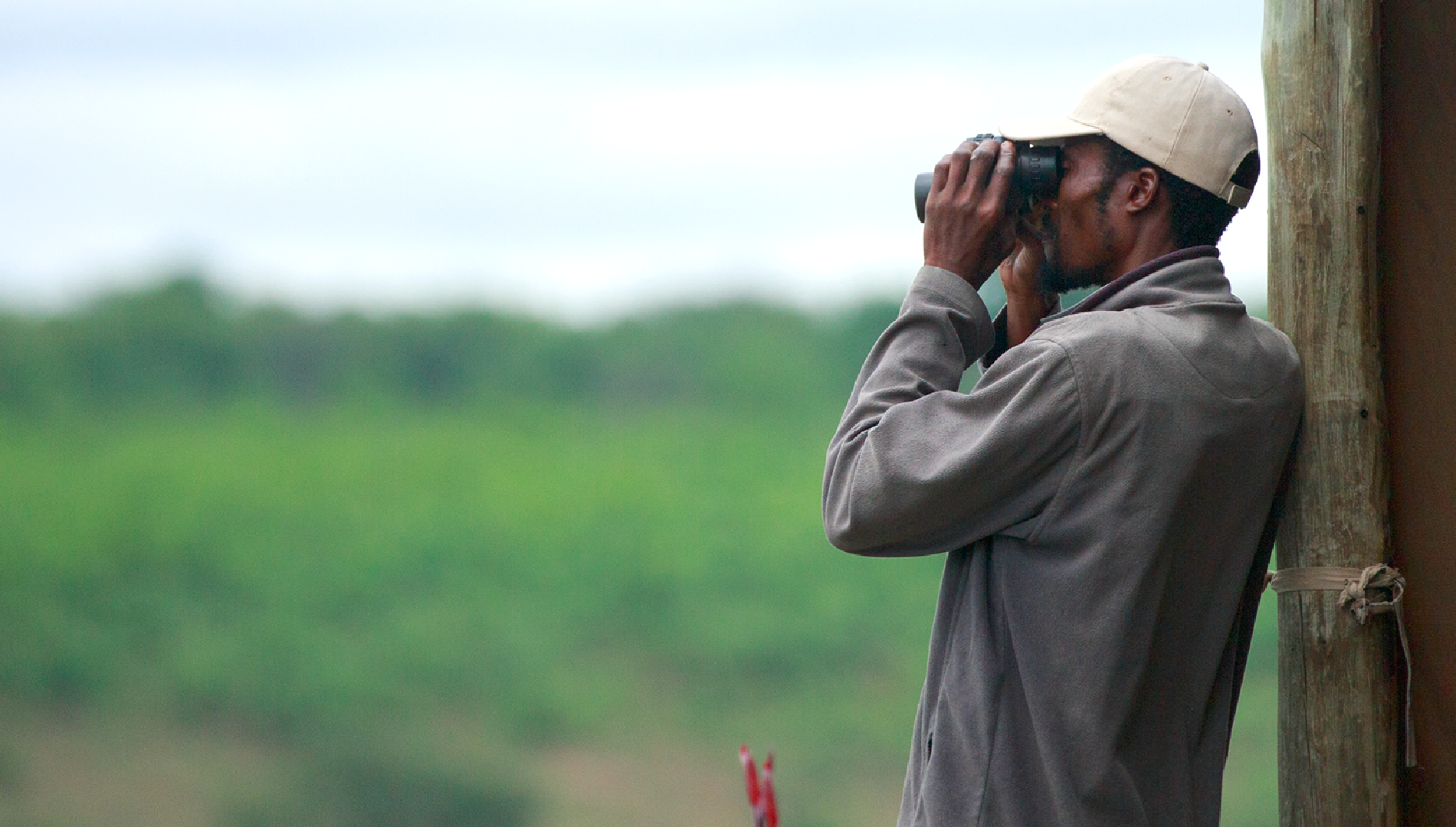 Birding in Namibia