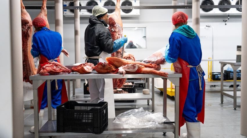 Butchery employees processing game carcasses. 