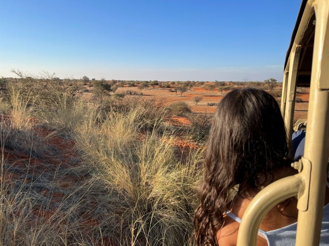 Game Drive in the Gondwana Kalahari Park