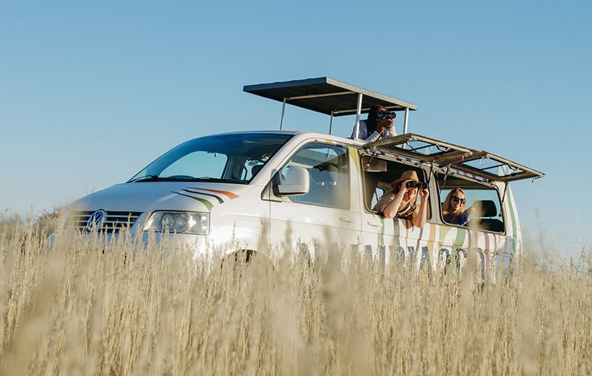 vw kombi etosha web