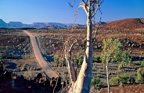 Road through Damaraland