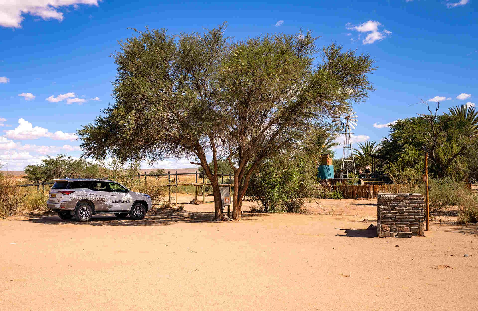 Canyon Roadhouse Campsite