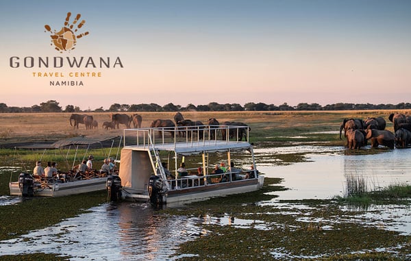 Elephants traversant un fleuve, région Zambesi, Namibie