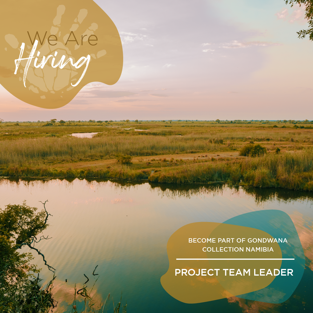 Project Team Leader Vacancy