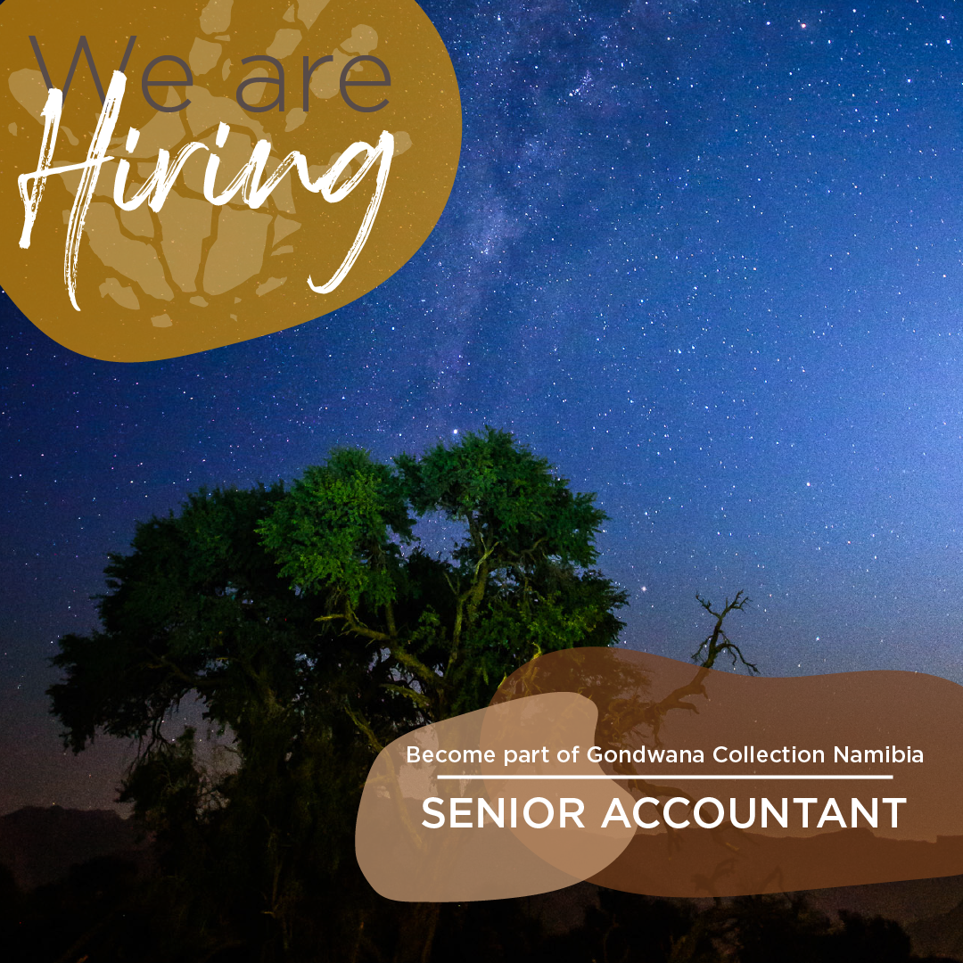 Senior Accountant Vacancy