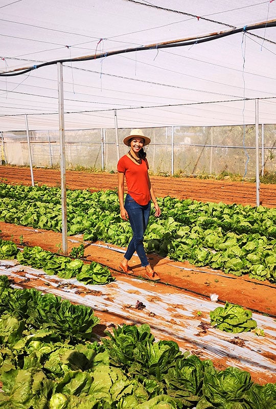 Women walking, greenhouse, vegetables, Namibia