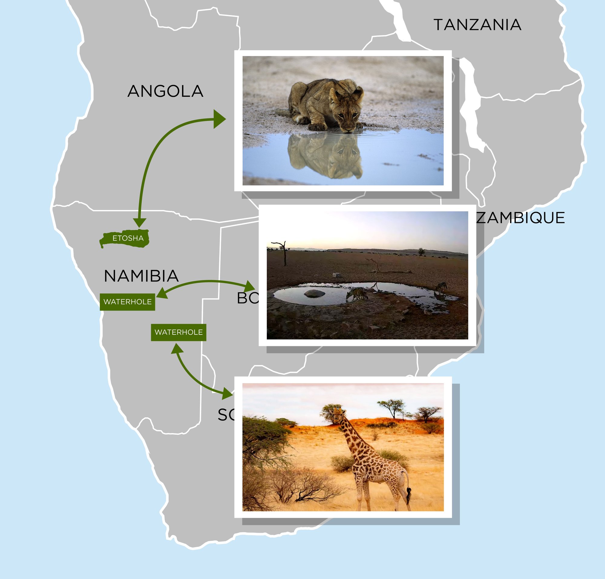 Map with Namibia Waterhole Cameras, Map