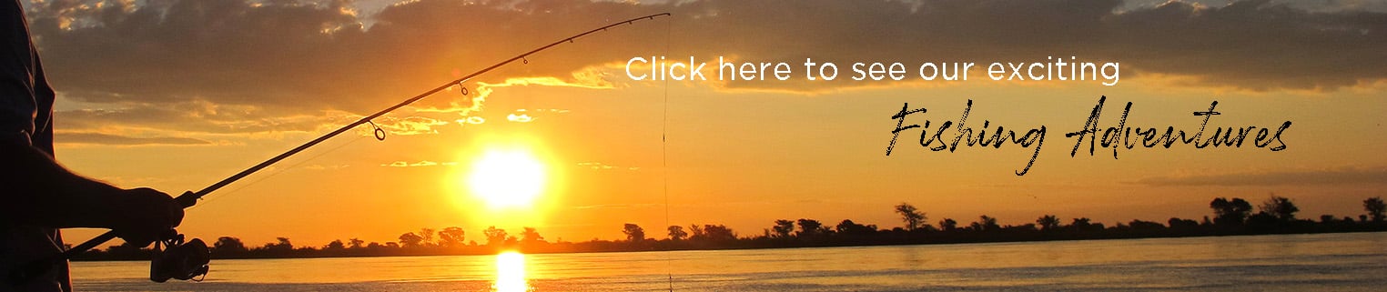 fishing in namibia teaser banner new