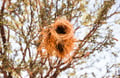 Vorschaubild 10