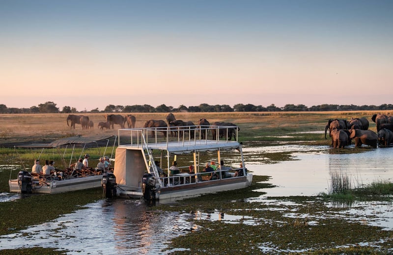 Zambezi river adventure
