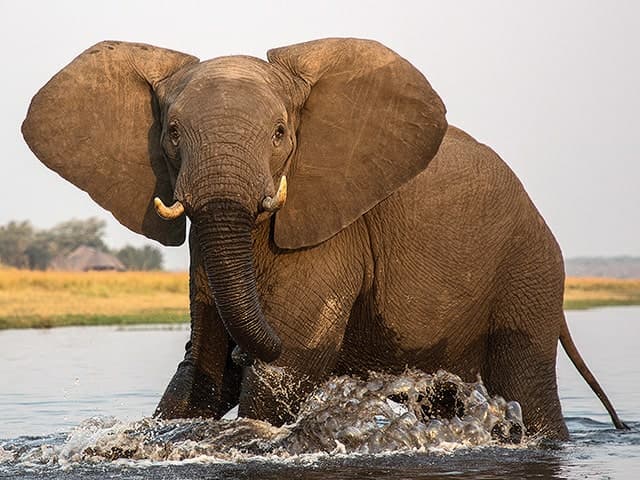 Gondwana-Collection-Zambezi-Experience