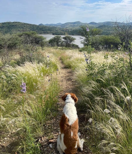 Milla sits and takes in the view of the water at Avis Dam