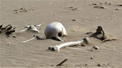 Ten fun facts about Sandwich Harbour in Namibia