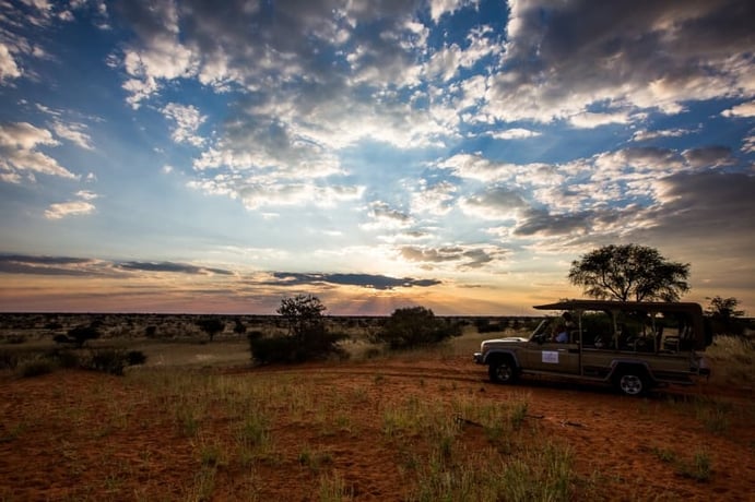 Explore the Gondwana Kalahari Park on the sunset drive