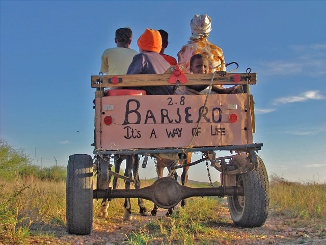 A Donkeycart in Namibia - Typical transport 