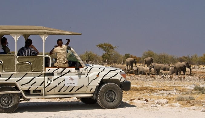 Etosha-Safari-Lodge-Gondwana