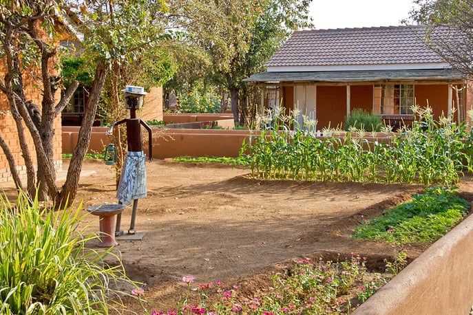 The vergetable gardens at Damara Mopane Lodge