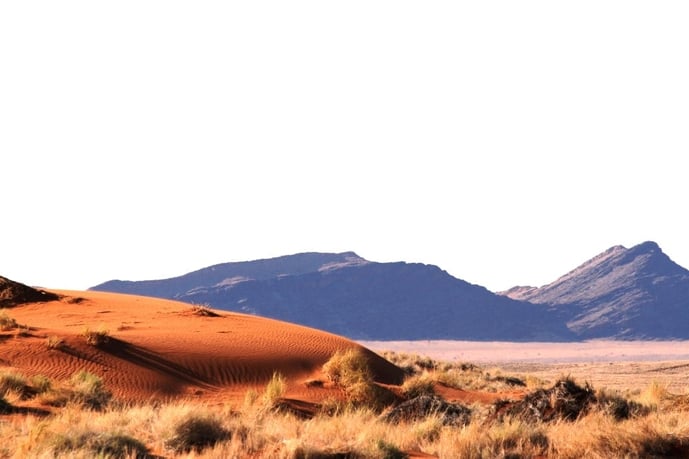 The Namib Desert