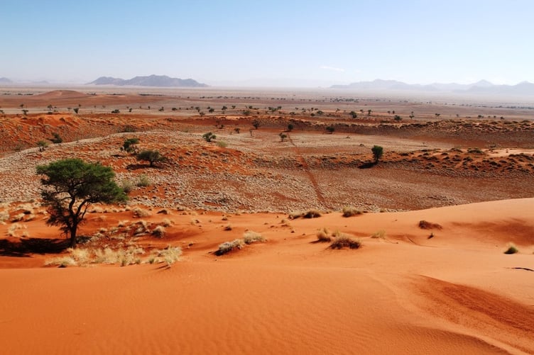 Namib Desert 