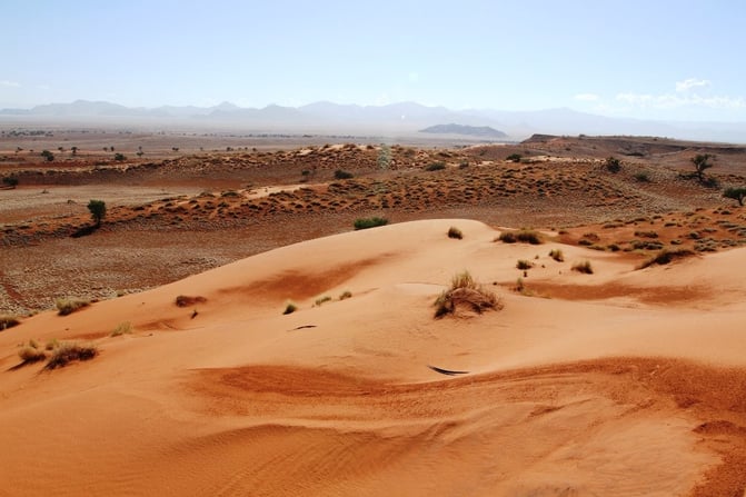 Namib Desert