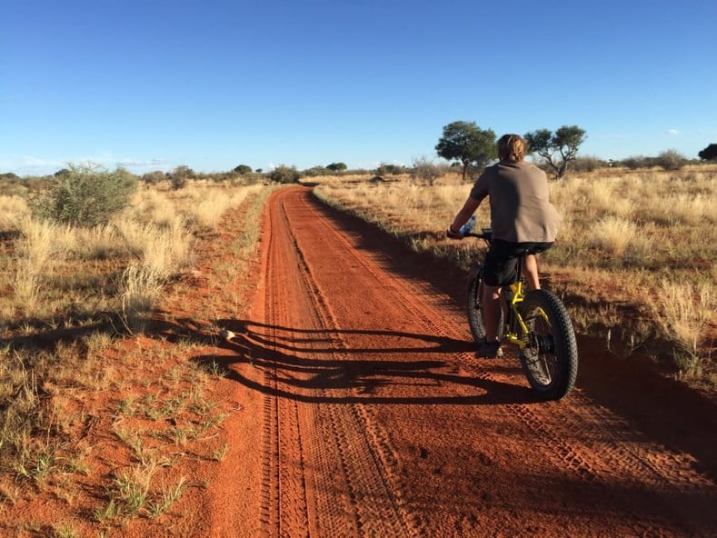 "Guests can now rent electric fat-bikes to pedal through the Gondwana Kalahari Park on selected routes."