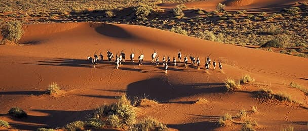 Kalahari Desert 