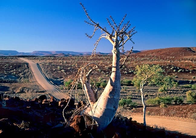 Twyfelfontein - Damaraland