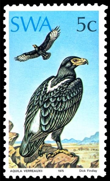 Aquila verreauxii (Black Eagle), issued in 1975, artist: Dick Findlay