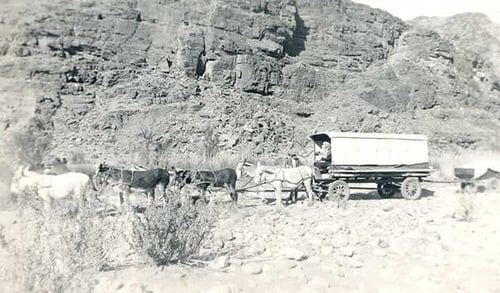 With these donkey carts poor Afrikaner farmers from South Africa trekked northwards over the Gariep (Orange) river in the 1920es in search for a better life.