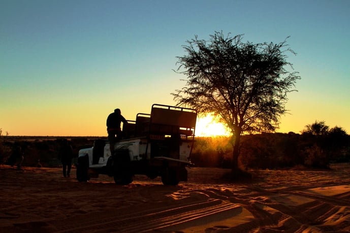 Sunset in the Kalahari 
