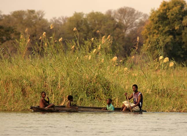 The traditional dugout canoes are an important part of everyday life in the Caprivi.  