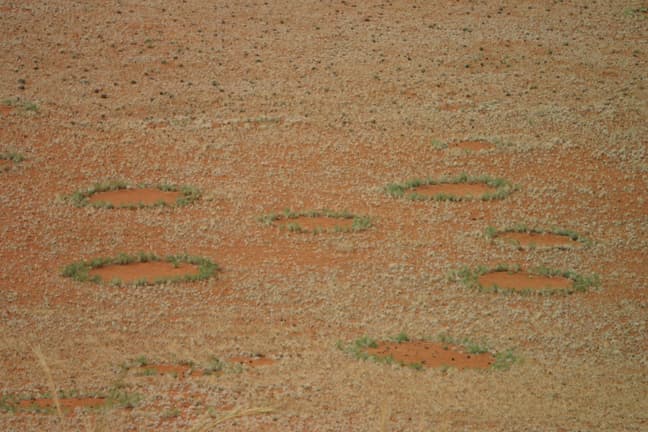 ‘Fairy circles’ in Gondwana Namib Park – the riddle of what causes them has now been solved.