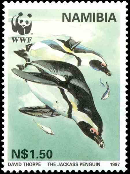 Jackass Penguin, issued in 1997, artist: David Thorpe