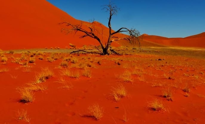 Kalahari sand - Image: www.southern destination.com