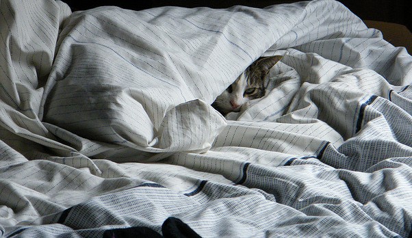 Image: wwww.1000awesomethings.com