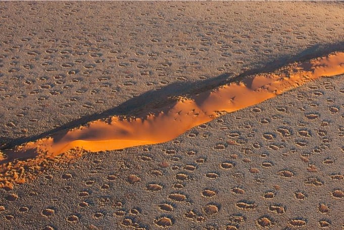 Fairy circles surrounding a sand dune - Image: Discover Wildlife
