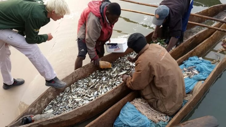  Image: Illegal Fishing Activities in Namibia