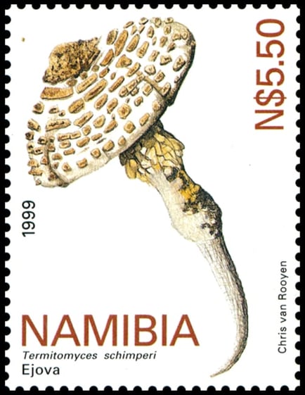 Ejova (Omajova) Termitomyces schimperi, issued in 1999, artist: Chris van Rooyen