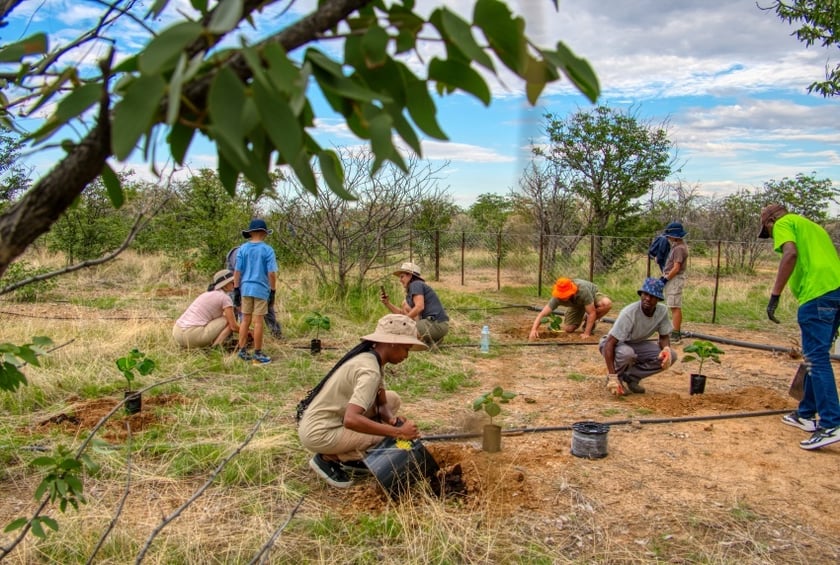 Kiri tree planting Damara mopane lodge