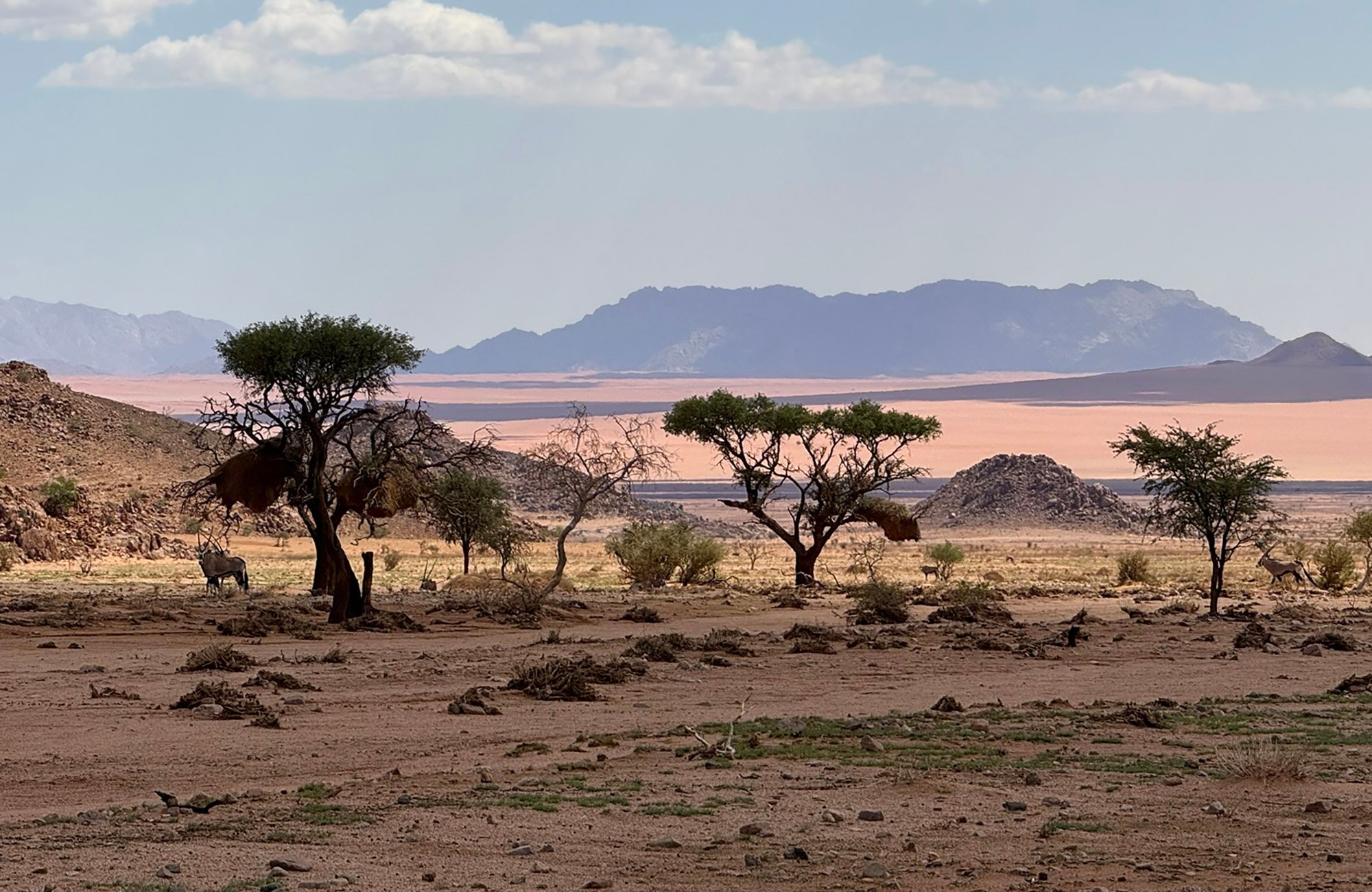 Luna Namib Collection landscape oryx_Jens Vietor main banner2