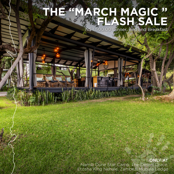 Poster March Magic Flash Sale_Gondwana Collection Namibia
